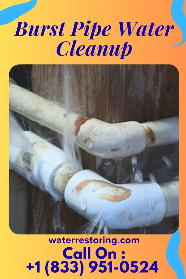 Burst Pipe Water Cleanup in Mobeetie, TX