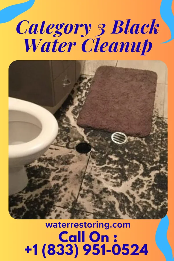 Category 3 Black Water Cleanup in Mobeetie, TX